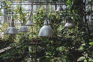 Edible gardens for renters workshop