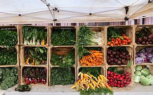 Orange Grove Organic Food Markets